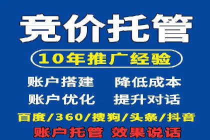 SEM服务公司助力品牌崛起案例